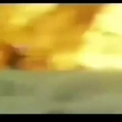Prob copyright idk