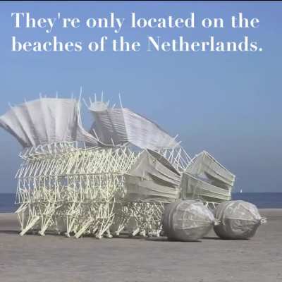 These wind-propelled animal-like structures built from pipes & zip ties, cruising the beaches of the Netherlands