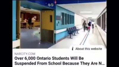 based ontario
