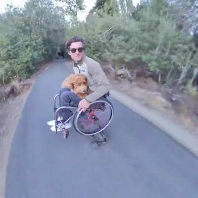 Man and Man&rsquo;s Best Friend