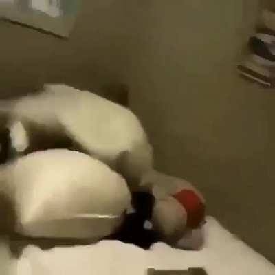 quepasoooooooooooo