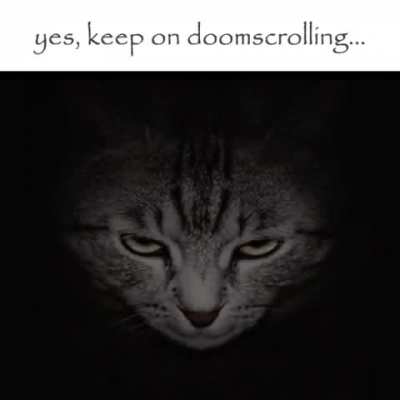 😼