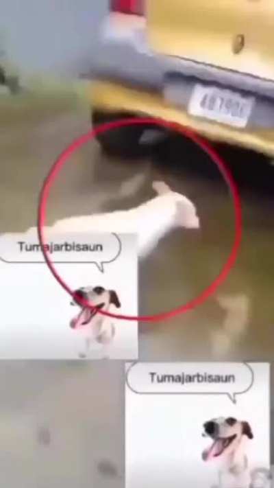 Title