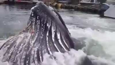 I&rsquo;m never going swimming again