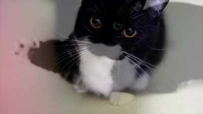 :3