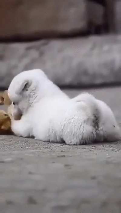 A little something to brighten your day