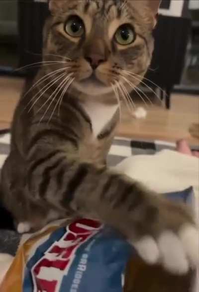 please give me some chips