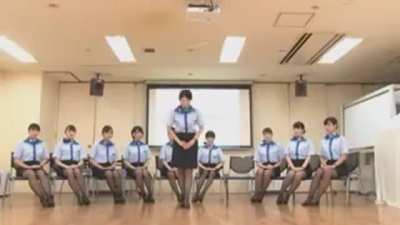 Japan Pussy Airline