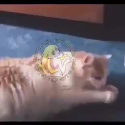 &amp;gt;////&amp;lt;
