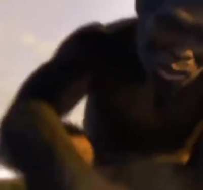 monkeys unite