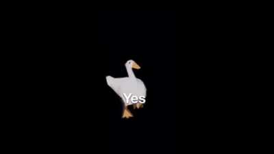 Trying to figure out the name of this upbeat meme song