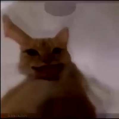 Ramirez, que le pasa Ramirez?? Ta embrujao 🙀🙀