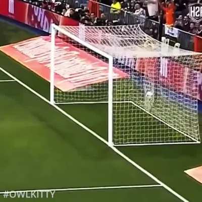 Black Cat runs on field and SCORES a goal