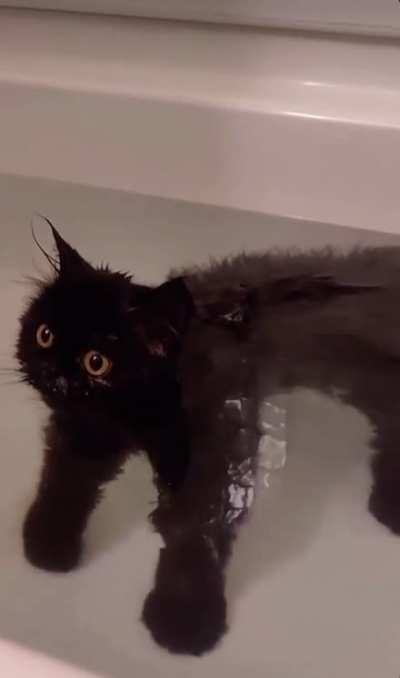 Water Biscuits