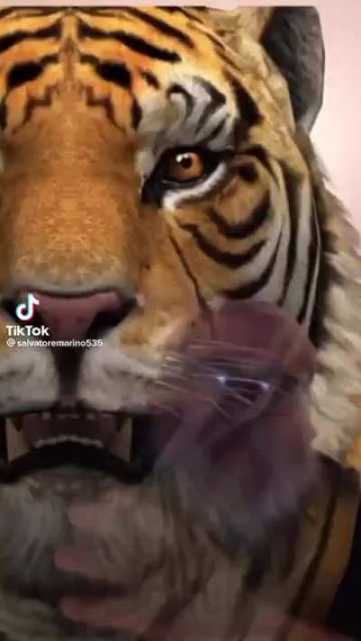 AAAAAAAH