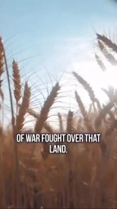 Why these endless wars &hellip; An unlikely source explains