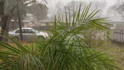 A rare and rainy day through a screened window in Austin, TX