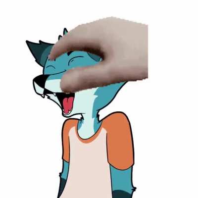 Pet_irl