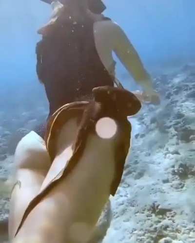 SFW tentacle porn
