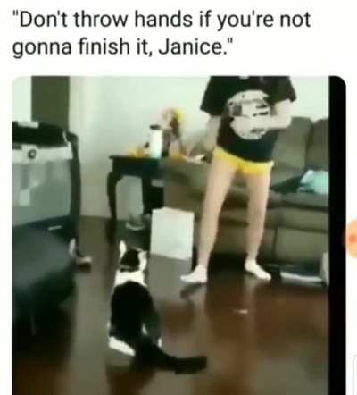 Let it be Janice!