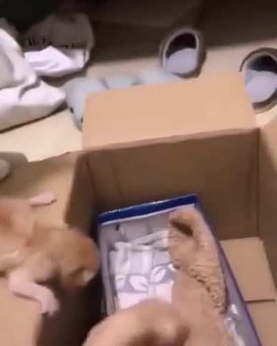Hurry it up, kid.