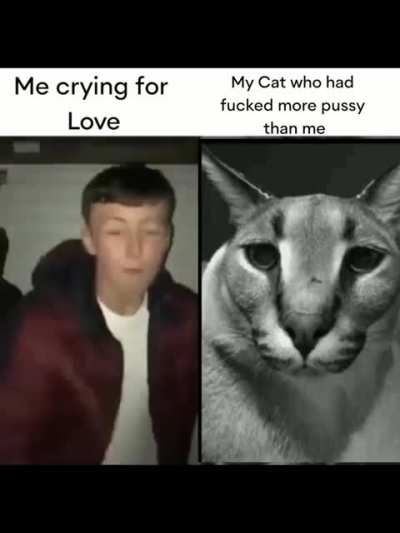 True legend