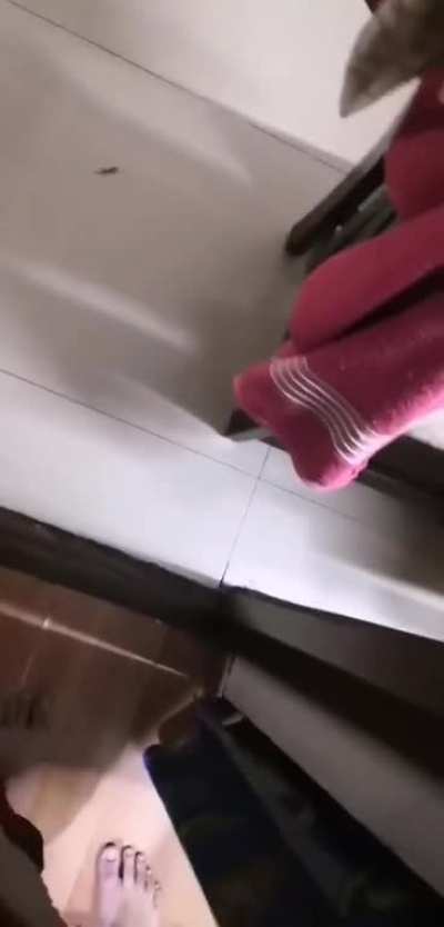 Lizard goes yeet
