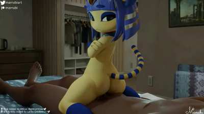Ankha riding tonight, third person perspective(marrubi )