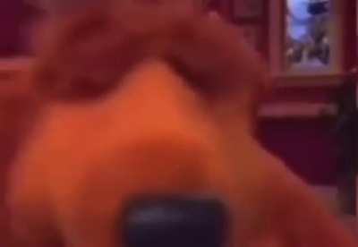 me_irl