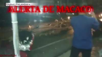 😳😳😳😳ALBERTA DAH MACOACOA😳😳😳