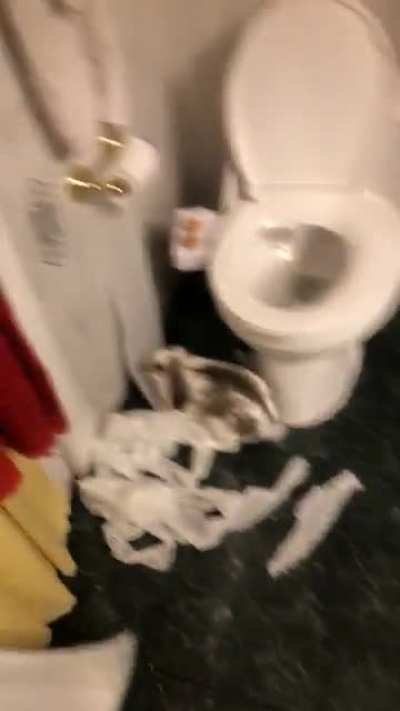 Don&rsquo;t leave the bathroom door open🥴