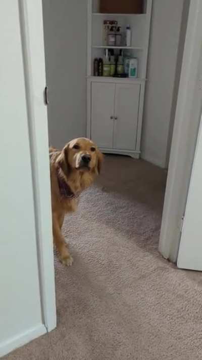 He thinks he's sneaky