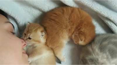 woMAN gETS sLOwLY eAtEN aLIve