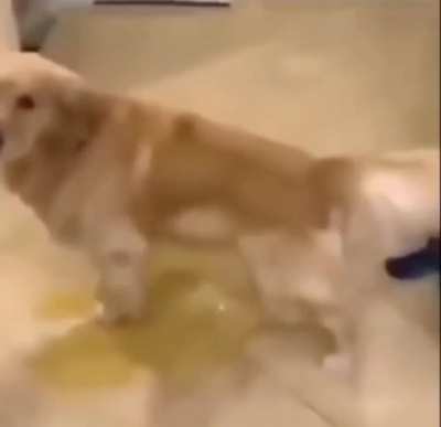 Let me pee man