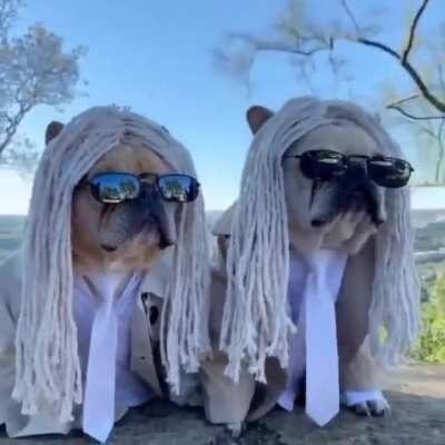 Blursed Twins