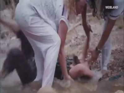 Когда хочешь искупать своего кота
