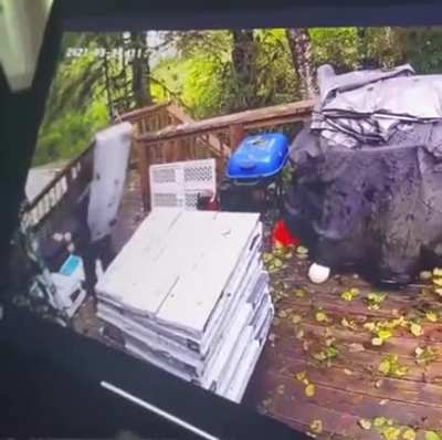 HMFT after I put down some shingles