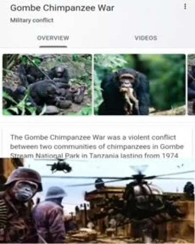 Chimpanzees Modern warfare