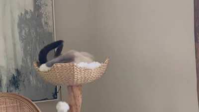 A slight miscalculation on how much wiggle room she has&hellip;