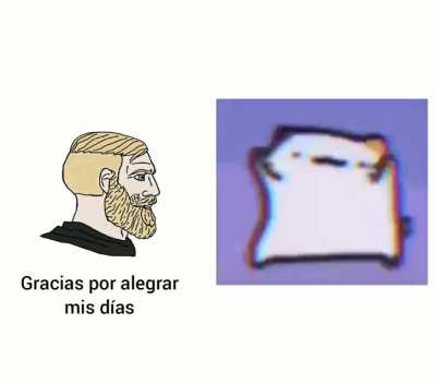 Amo este gatito