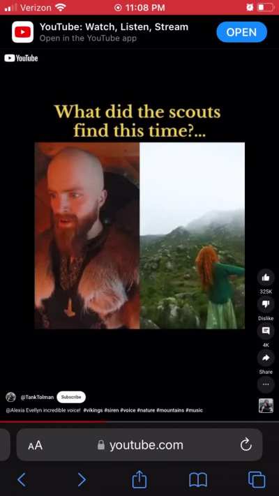 Viking cosplay guy