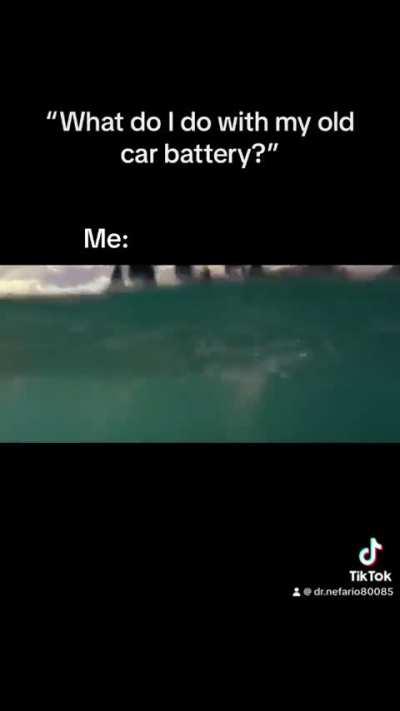 Someone&rsquo;s got to charge the electric eels