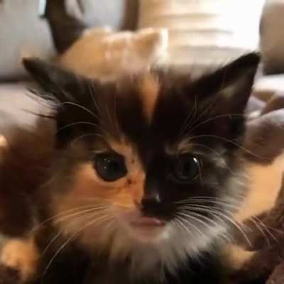 awwgif The most gorgeous face