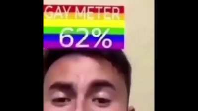 apa