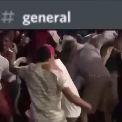 discord channels