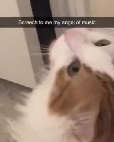 Bowie would like everyone to know he wants to speak to the manager
