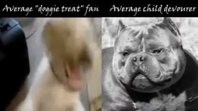 doggy treats