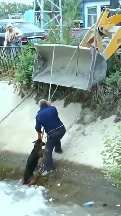 locals helping save a dog which was trapped in the floods