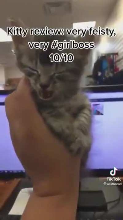 Feisty smocriminal