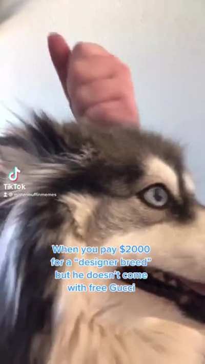 Biggest ripoff ever